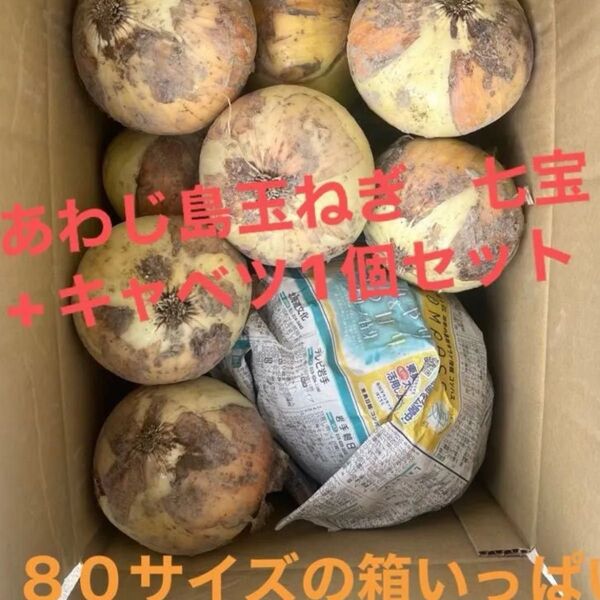 Ⅱあわじ島玉ねぎ 完熟七宝+こだわりキャベツ1個 新玉ねぎ 淡路島産 農家直送 秀品