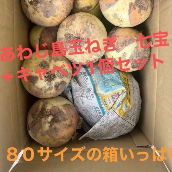 あわじ島玉ねぎ 七宝+こだわりキャベツ1個 80サイズの箱いっぱい! 産地直送 淡路島玉葱