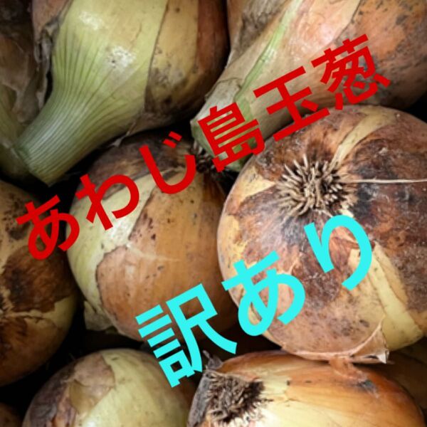 あわじ島玉ねぎ 訳あり約7.5キロ