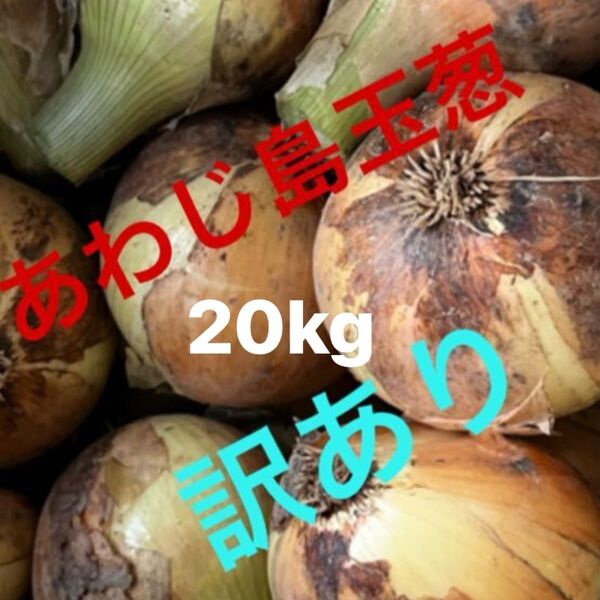 あわじ島玉ねぎ 訳あり 20kg箱いっぱい