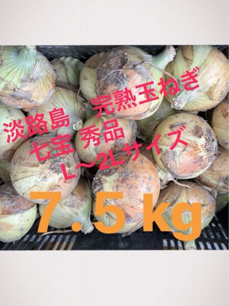 ②あわじ島産 玉ねぎ 完熟七宝 L〜2Lサイズ 秀品