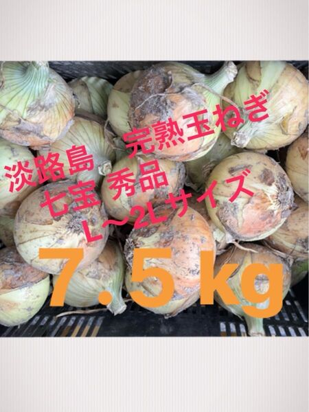 淡路島玉ねぎ 完熟七宝 7.5kg秀品 農家直送 新たまねぎ 産地直送