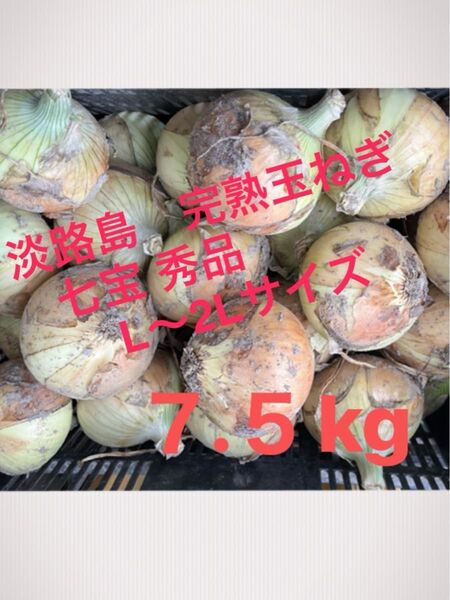 ③あわじ島玉葱 七宝 完熟 秀品7.5kg 農家直送 新たまねぎ 淡路島産