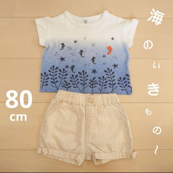 【80cm】子供 ベビー服 半袖シャツ Tシャツ 女の子 半ズボン パンツ 上下