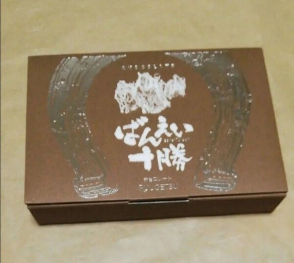 価格の相談には応じません お土産 馬蹄 お菓子 ぼんえい 十勝 ばんえい十勝 チョコレート 1 北海道 柳月
