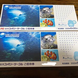 新江ノ島水族館 チケット 2枚