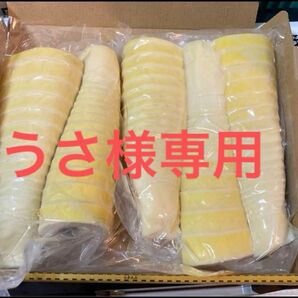 【うさ様専用】穂先たけのこ水煮 1kgと穂先下部分2kg 真空パック 無農薬