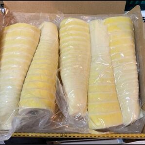 穂先たけのこ水煮 1kg以上 真空パック 送料無料