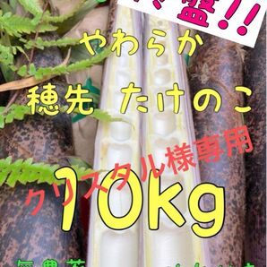 【クリスタル様専用】5/13 収穫発送 柔らか 穂先たけのこ 10キロ 糠付