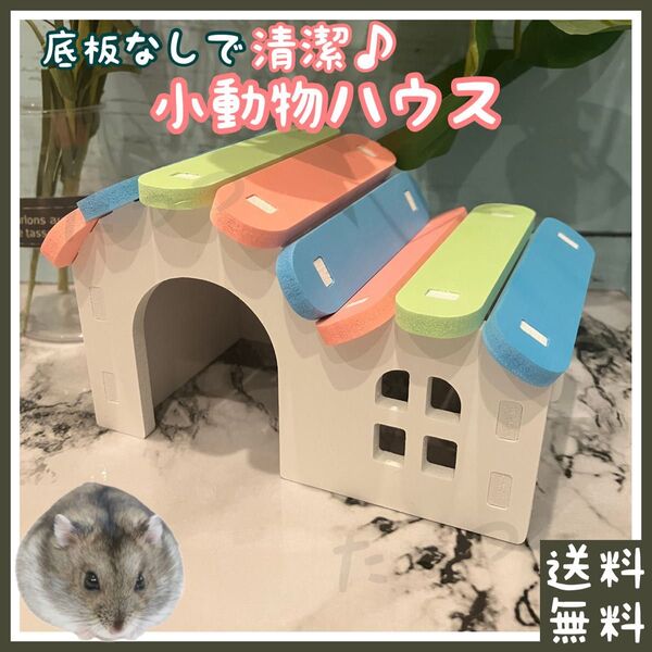 小動物 ハムスター ハウス 虹色(■ジャンガリアン・ロボロフスキーなどのドワーフハムスターに■巣箱・巣・ベッド・ベット・寝床)