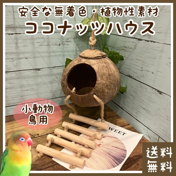 小動物・鳥用 ハウス ココナッツ型(■巣箱・寝床に■小鳥(文鳥・サザナミインコ・マメルリハ・ボタンインコなど)・モモンガなどに)