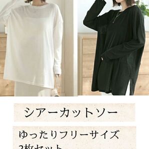 シアー トップス カットソー ロングTシャツ 春夏 クルーネック 透け感 フリーサイズ ゆったり XL L レディース UV対策