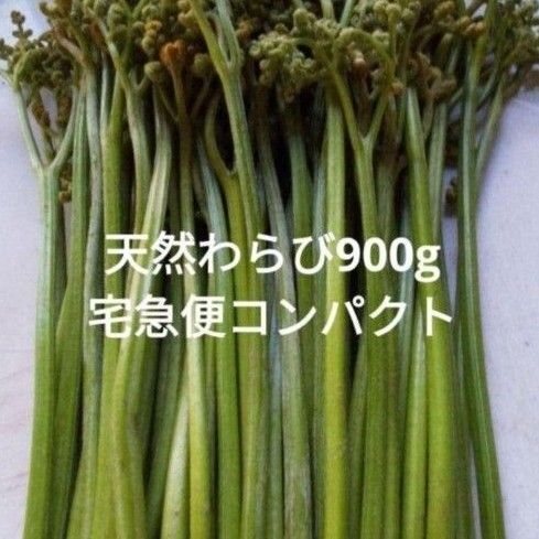 新鮮!天然わらび 900g
