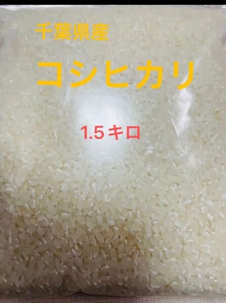 令和6年 千葉県産 コシヒカリ