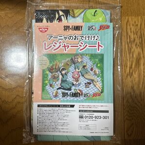 レジャーシート