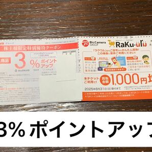 ビックカメラ コジマ ポイントアップクーポン