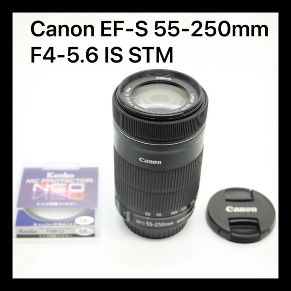 超美品 【Canon EF-S 55-250mm F4-5.6 IS STM】 キャノン 望遠レンズ