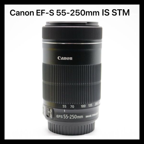 超美品 【Canon EF-S 55-250mm F4-5.6 IS STM】 キャノン 交換レンズ 初期不良返品対応あり