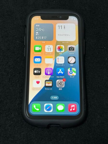 iPhone 12 mini 256GB Black 国内版simフリー 訳あり