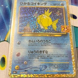 ひかるコイキング 25th