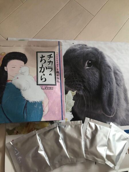ウーリー チカラのちから ハーフ