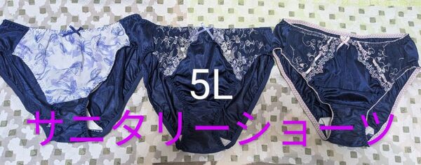 未使用品サニタリーショーツ5L3枚セット