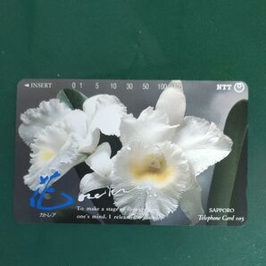 NTT テレホンカード カトレア 105