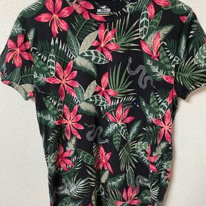 HOLLISTER ホリスター メンズ Tシャツ HOLLISTER CALIFORNIA CURVED HEM 総柄