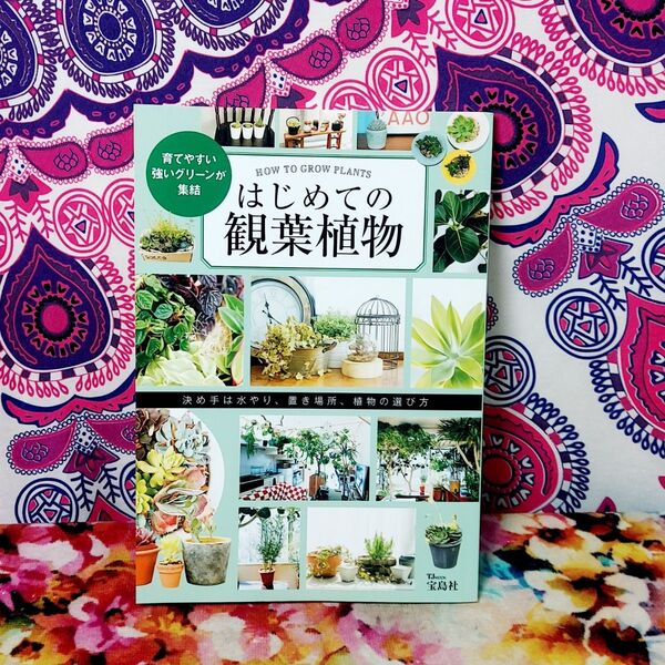 はじめての観葉植物 TJMOOK/宝島社