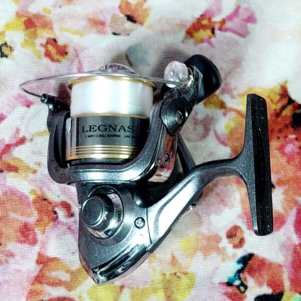 REGNUS SPIN LE 1000 釣りド素人です。