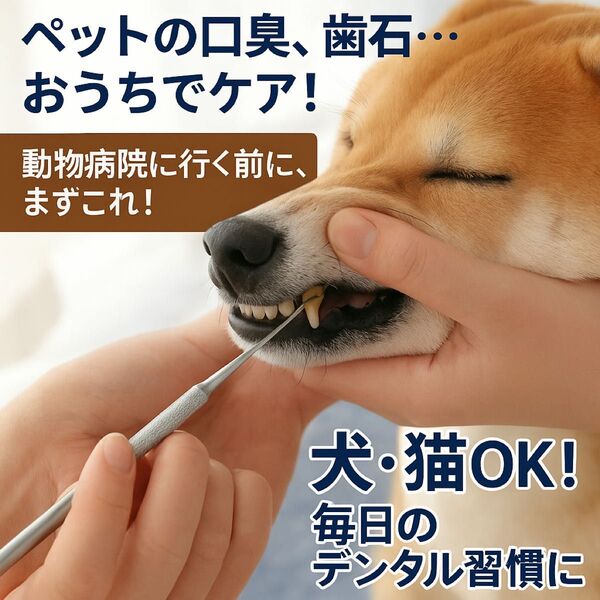 【獣医推奨】ペット用歯石取りスケーラー|犬猫のデンタルケアに最適!自宅で簡単ケア