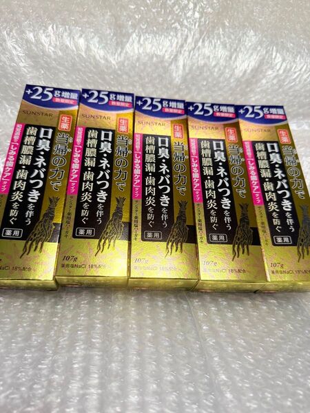 歯磨き粉 サンスター 薬用 当帰の力 塩ハミガキ 知覚過敏 しみる歯ケア 107g(82g+25g)×5リニューアル前 訳あり