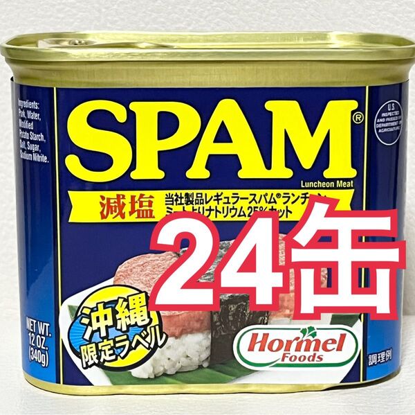 スパムポーク(減塩)24缶 ポークランチョンミート