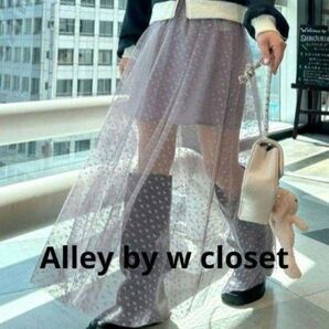 Alley by w closet リバーシブルシースルースカート