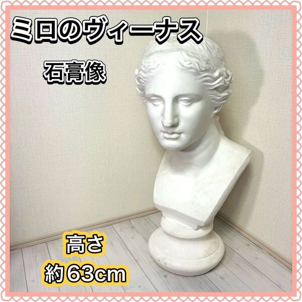 ミロのヴィーナス 石膏像 デッサン 胸像 美術 インテリア オブジェ