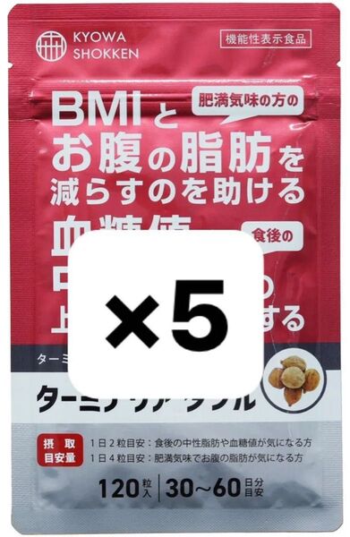 【新品未開封】ターミナリア ダブル 協和食研 120粒入×5袋KYOWA SHOKKEN 賞味期限 : 2026年10月