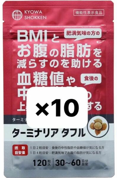 【新品未開封】ターミナリア ダブル 協和食研 120粒入×10袋 KYOWA SHOKKEN 賞味期限 : 2026年10月