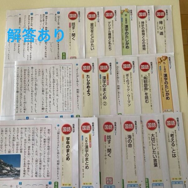 カラーテスト 6年生 小6 国語 光村図書 ぶんけい 未記入 こたえ てびき