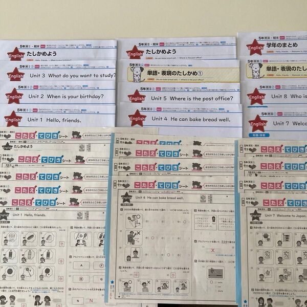 カラーテスト 5年生 小5 英語 東京書籍 ぶんけい 未記入 こたえ てびき