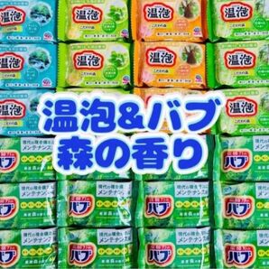 入浴剤 温泡 アース製薬 透明湯 こだわり森 バブ 定番 5種類24個