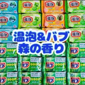 入浴剤 温泡 アース製薬 透明湯 こだわり森 バブ 定番 5種類24個