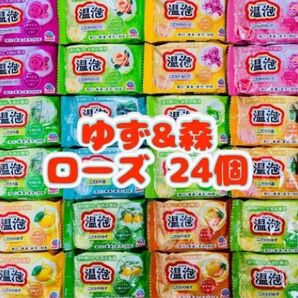 入浴剤 温泡 アース製薬 透明湯 ゆず 森 ローズ新商品 12種類24個