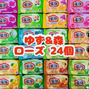 入浴剤 温泡 アース製薬 透明湯 ゆず 森 ローズ新商品 12種類24個