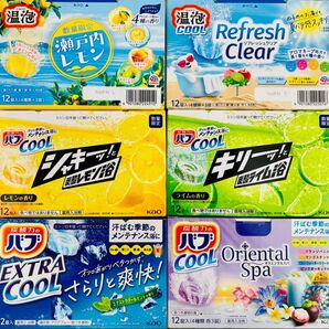 su① 入浴剤 アース製薬 温泡 cool 15種類24個 クール バブ kao 数量限定 オリエンタルスパ