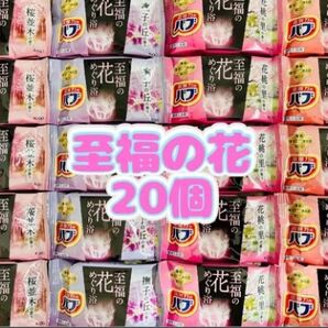 花王 炭酸力のバブ 入浴剤 至福の花めぐり浴 20個 期間限定