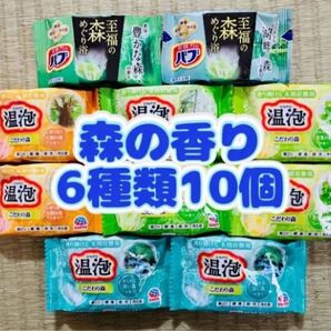 入浴剤 花王バブ kao 森 6種類10個 色付き透明湯 温泡 アース製薬 至福の森めぐり浴