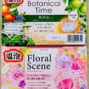 アース製薬 温泡 透明湯 ボタニカル 無添加 8種類24個 kao