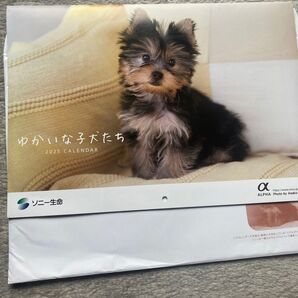2025 ソニー生命 ゆかいな子犬たち 壁掛けカレンダー