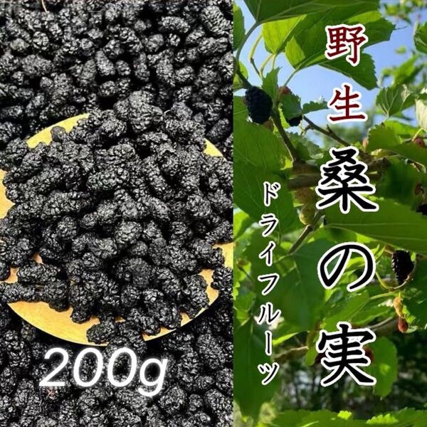 野生桑の実200g 乾燥 原料そのままマルベリー 桑の葉 桑の実 桑の葉茶 桑の葉 原料そのままマルベリー 無添加 乾燥 無農薬
