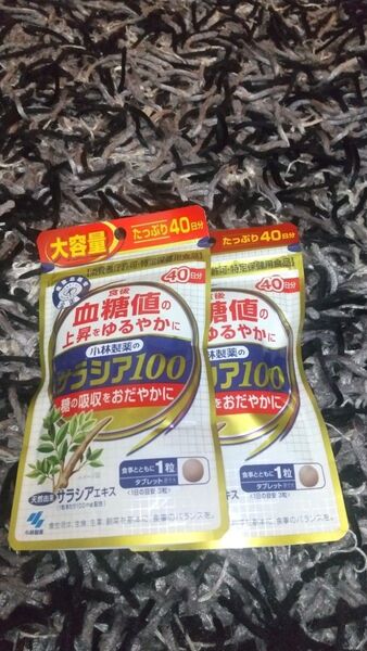 小林製薬 サラシア100 血糖値 特定保健用食品 40日分×2袋